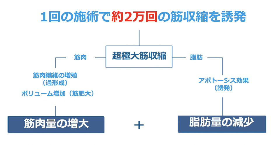 エムスカルプト12061｜クロスクリニック銀座.jpg