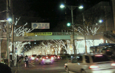 表参道２０１０.jpg