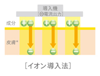 sイオン導入.jpg